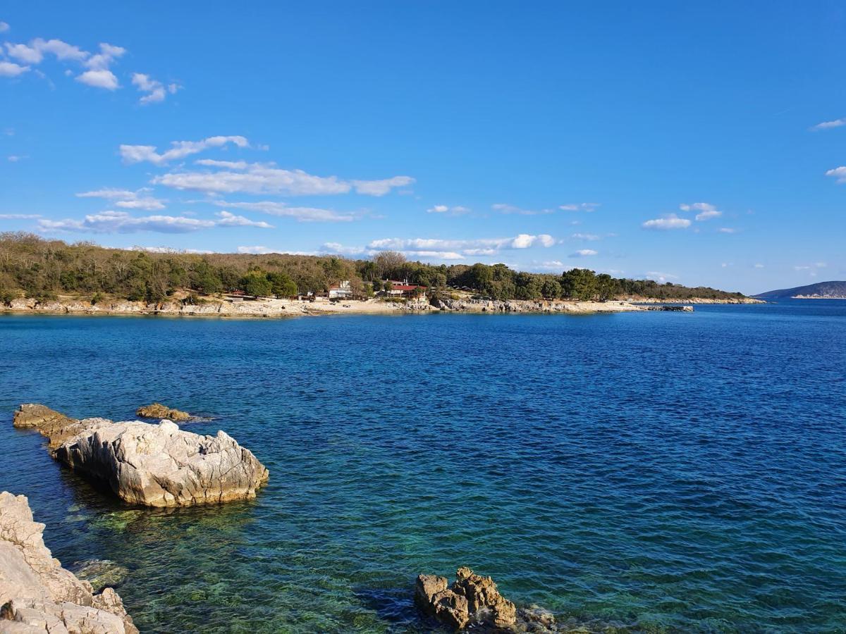 Villa Diny With Pool Pinezići Exteriér fotografie